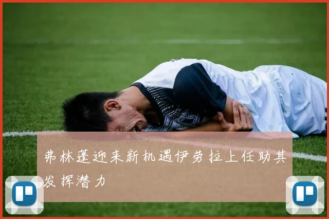 弗林蓬迎来新机遇伊劳拉上任助其发挥潜力
